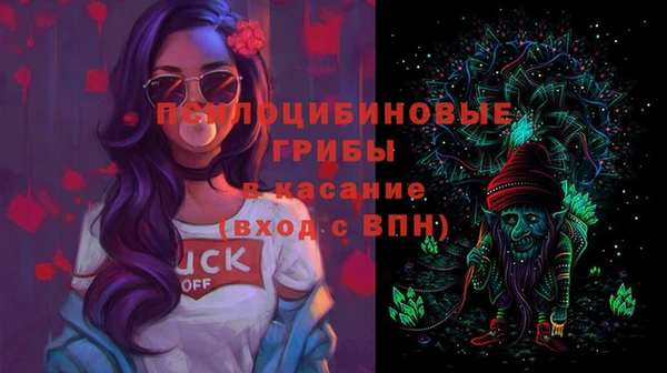 ешки Алексин